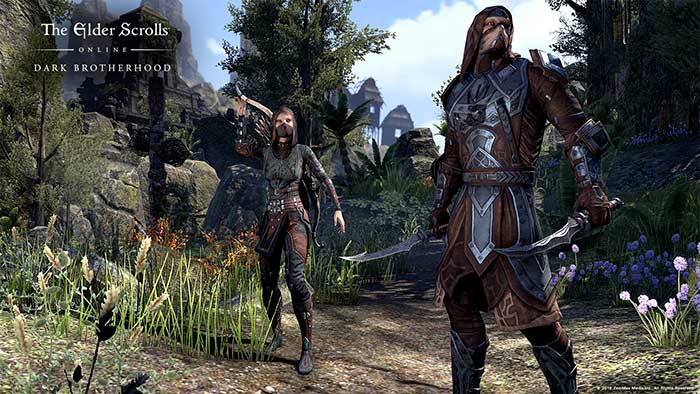 The Elder Scrolls Online : Tamriel Unlimited (image 5)