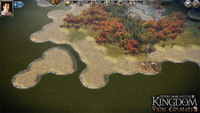 Total War Battles : Kingdom (image 4)