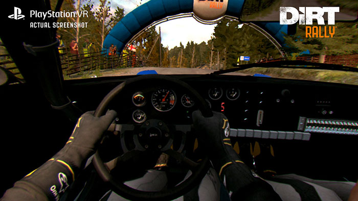 DiRT Rally (image 7)