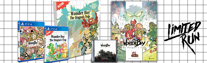 Wonder Boy : The Dragon's Trap (image 2)