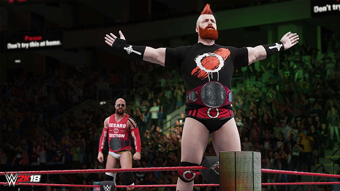 WWE 2K18 (image 8)