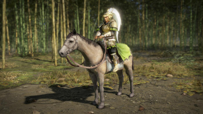 Dynasty Warriors 9 (image 7)