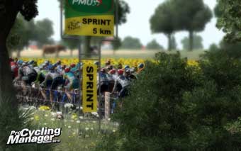 Pro Cycling Manager : Tour de France 2010 (image 1)