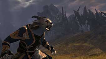 Guild Wars 2 (image 3)