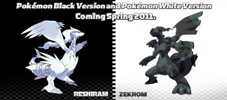 Pokémon :  Version Noire et Blanche (image 1)