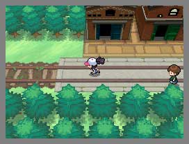 Pokémon :  Version Noire et Blanche (image 4)