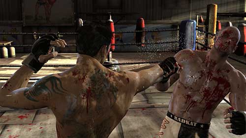 Supremacy MMA (image 5)