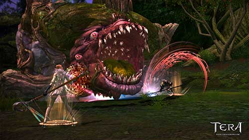 TERA Online (image 4)