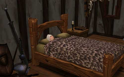 Les Sims Medieval (image 1)