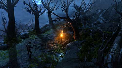 Dungeon Siege III (image 9)