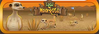 Lead The Meerkats