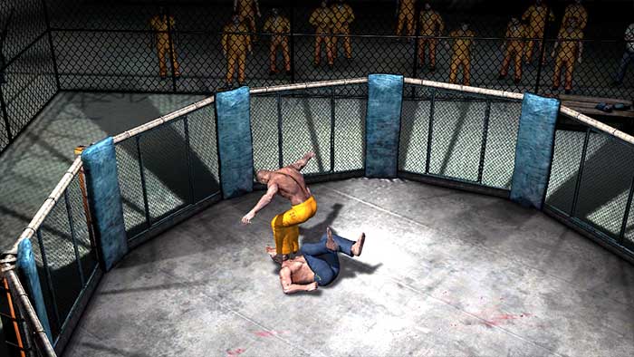 Supremacy MMA (image 8)