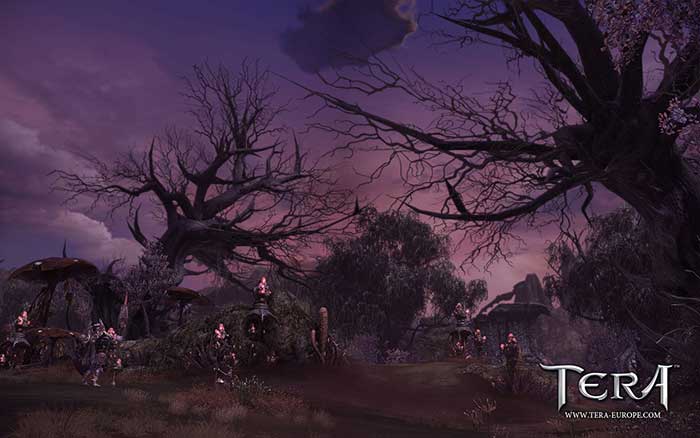 TERA Online (image 3)