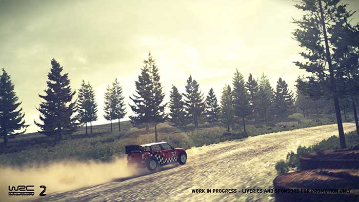 WRC2 (image 4)