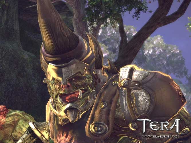 Tera Online (image 4)