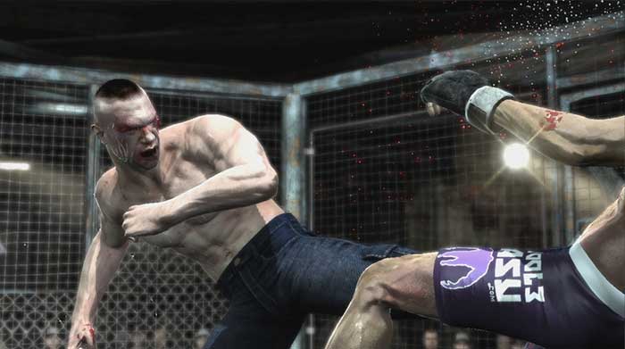 Supremacy MMA (image 8)