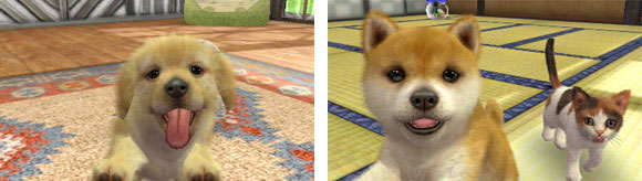 NintendoDogs + Cats (image 1)