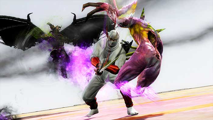Ninja Gaiden 3 (image 8)
