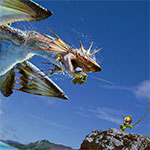 Logo Monster Hunter 3 Ultimate