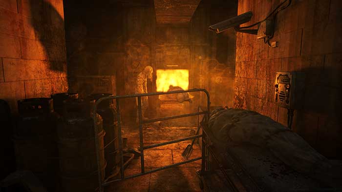 Metro : Last Light (image 6)