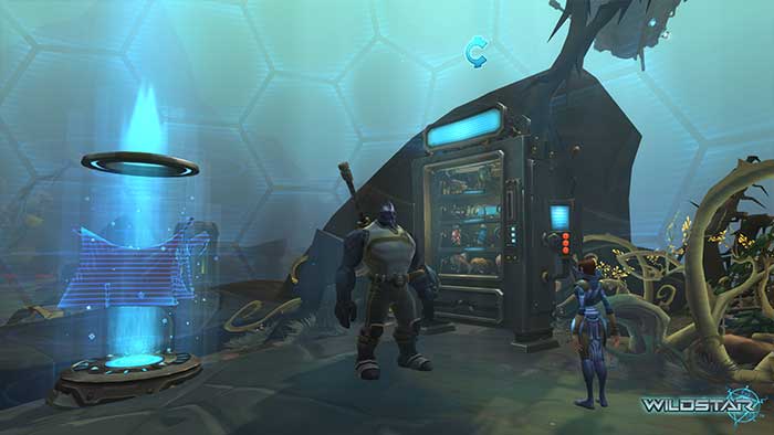 WildStar (image 8)