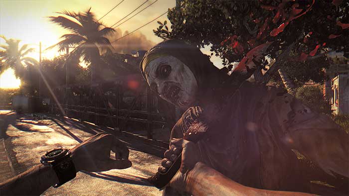 Dying Light (image 2)