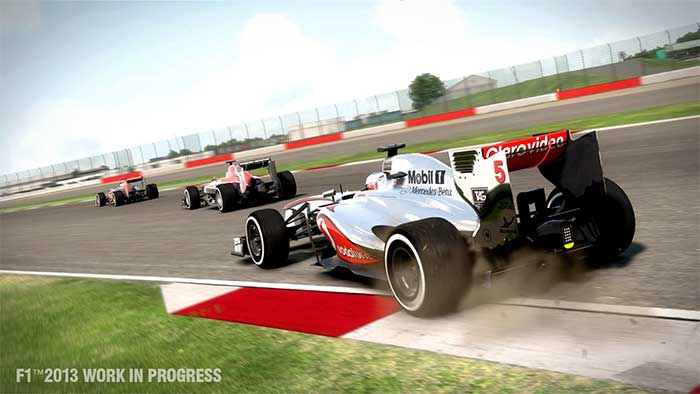 F1 2013 (image 5)