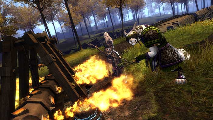 Guild Wars 2 (image 7)