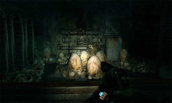 Metro : Last Light (image 3)