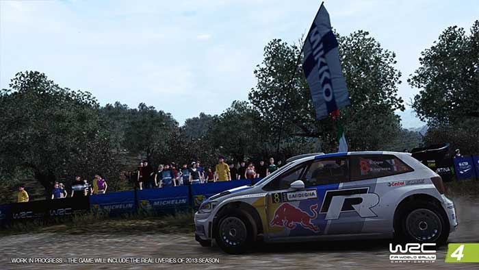 WRC 4 (image 6)