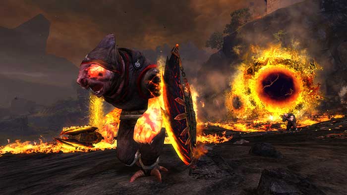 Guild Wars 2 (image 1)