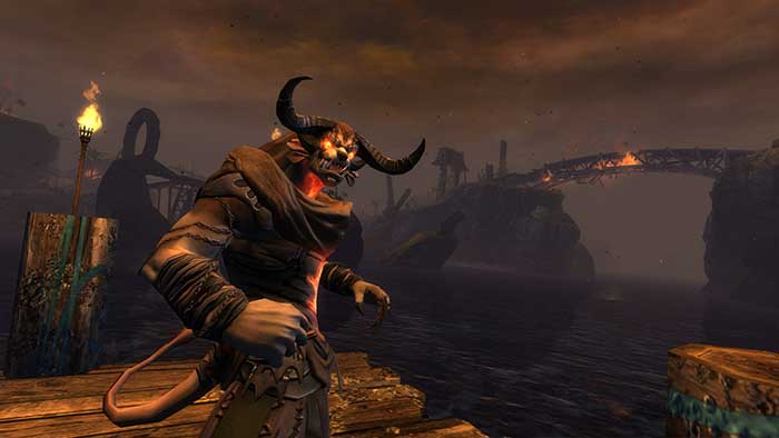 Guild Wars 2 (image 2)