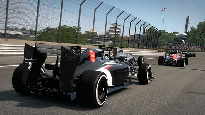 F1 2014 (image 2)