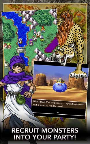 Dragon Quest V : Hand of the Heavenly Bride (image 3)
