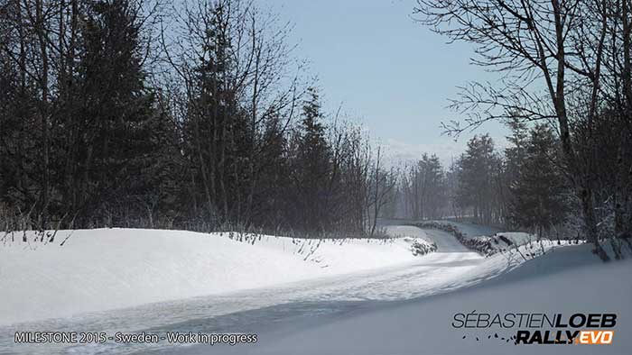 Sébastien loeb Rally EVO (image 7)