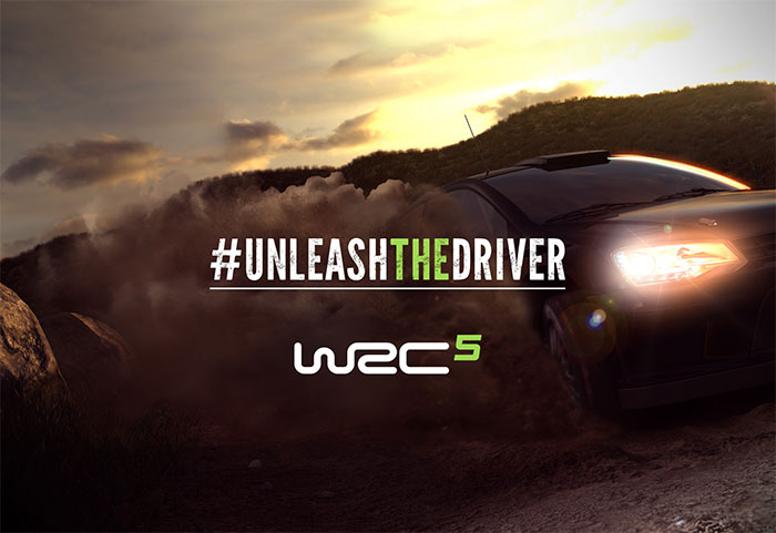 WRC 5 (image 1)