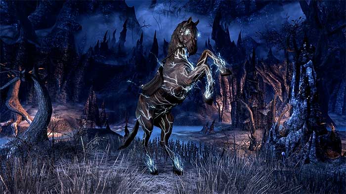 The Elder Scrolls Online : Tamriel Unlimited (image 2)