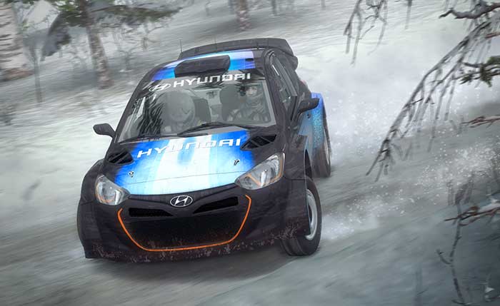 DiRT Rally (image 5)