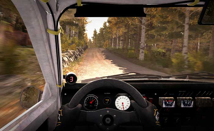 Dirt Rally Legend Edition (image 2)