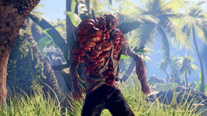 Dead Island Definitive Collection (image 3)