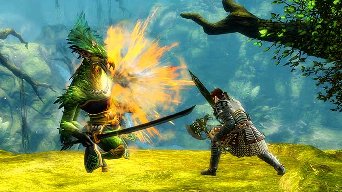 Guild Wars 2 (image 3)