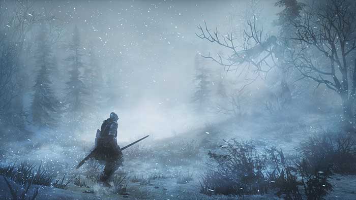 Dark Souls III : Ashes of Ariandel (image 3)