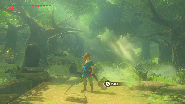 The Legend of Zelda : Breath of The Wild (image 7)