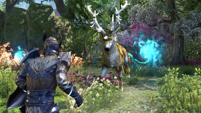 The Elder Scrolls Online (image 5)