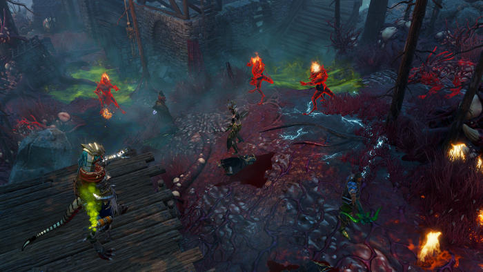 Divinity : Original Sin 2 (image 5)