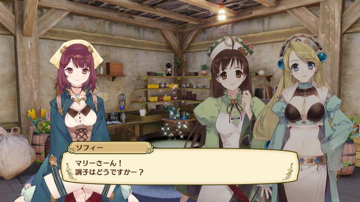 Nelke and the Legendary Alchemists : Ateliers of the New World (image 1)