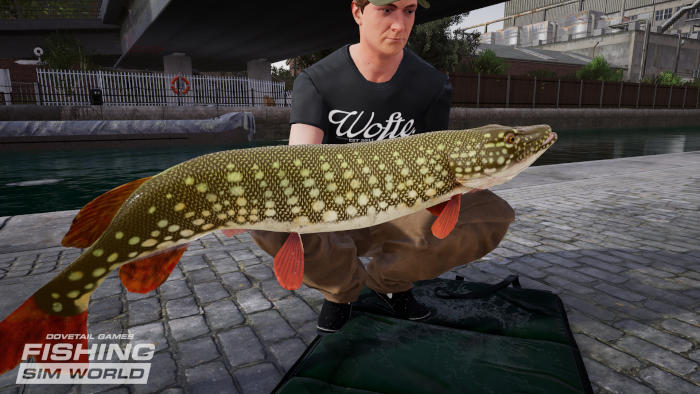 Fishing Sim World (image 4)